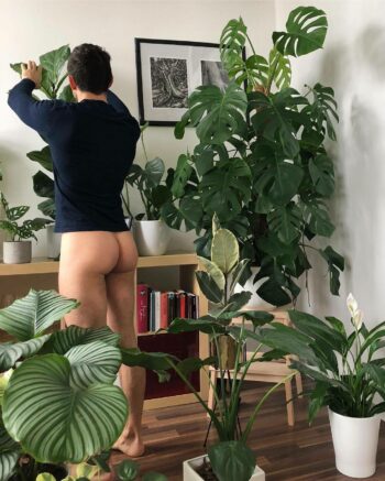 rencontre-Gay-Mulhouse